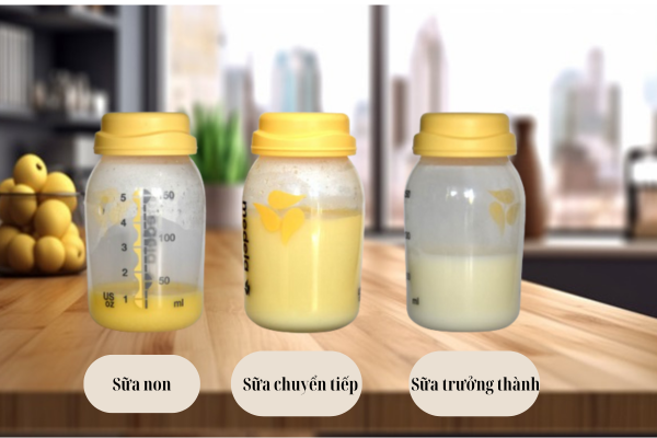 Sữa thông thường có màu trắng đục hoặc ngả vàng nhưng không cố định.